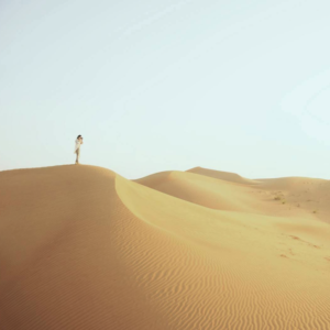 dune-superchinois801