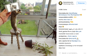 francois-dourlen-chat