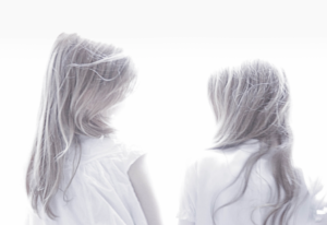 brumes-courivaud-sebastien