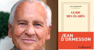 le-guide-des-egares-d-ormesson